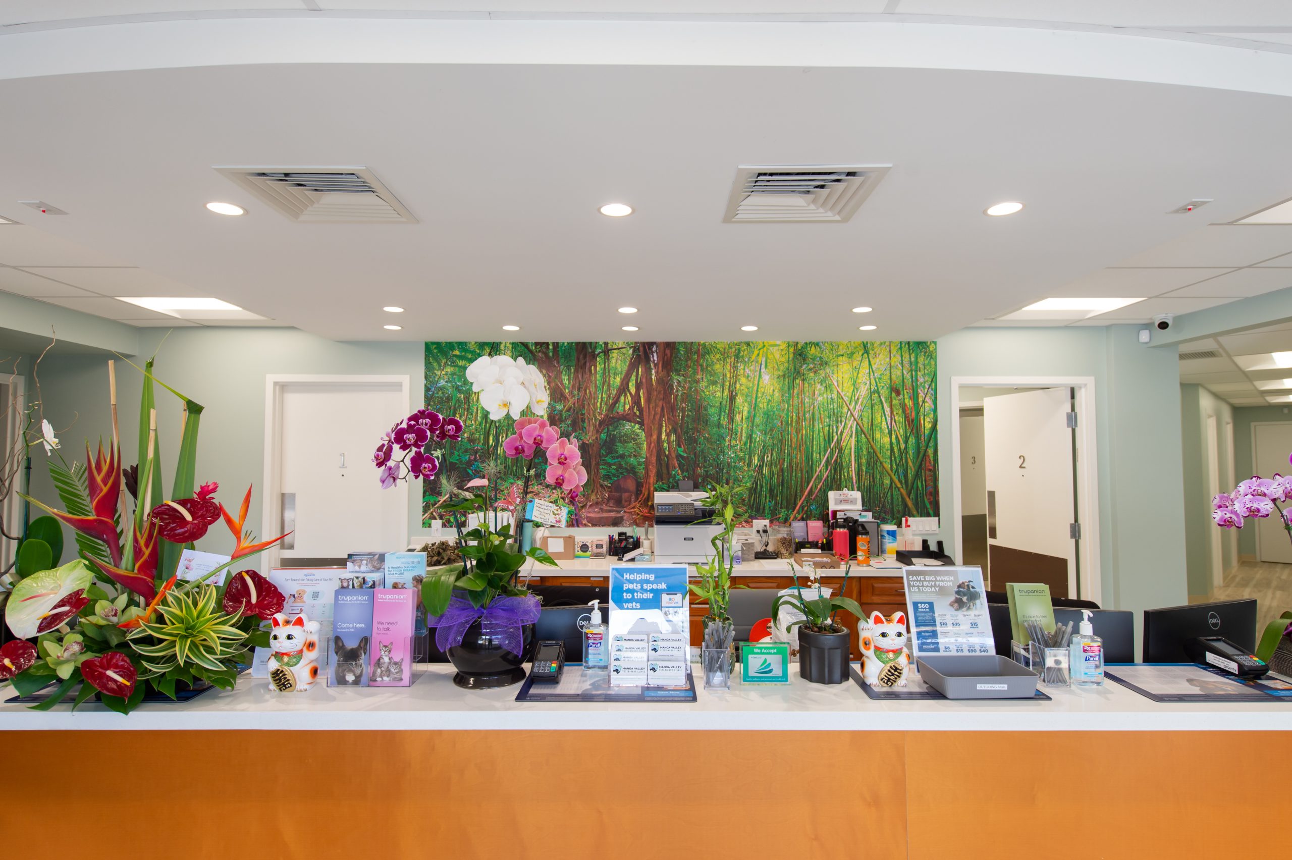 Manoa Valley Veterinary Clinic
