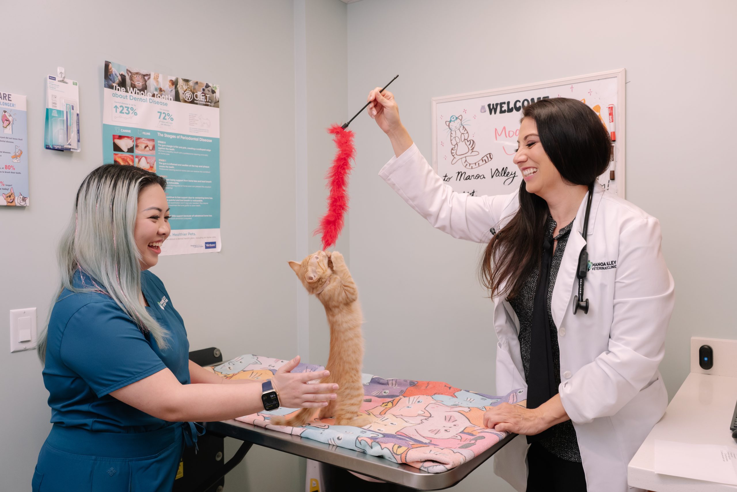 Manoa Valley Veterinary Clinic