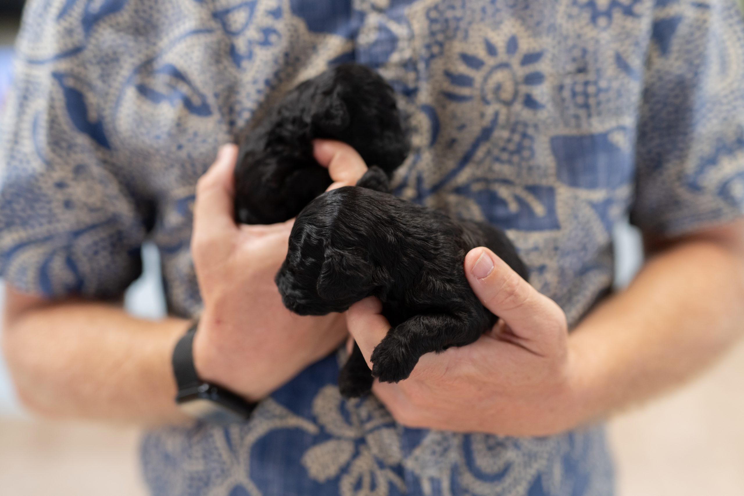 new clients welcome Honolulu, HI