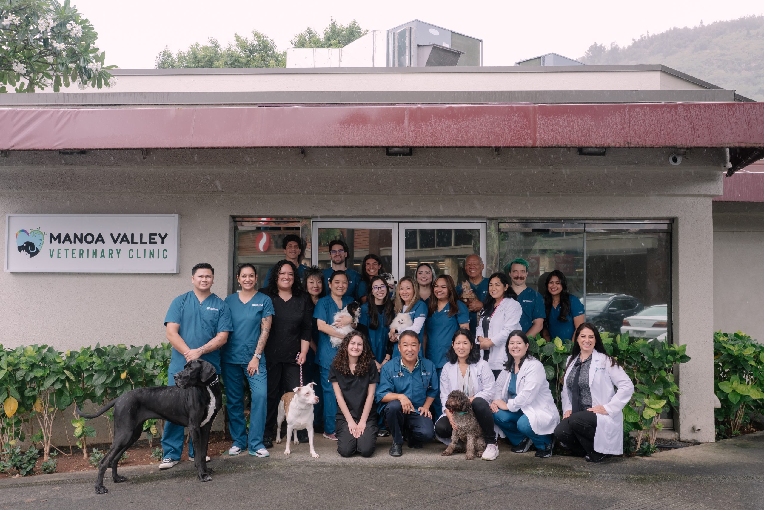 about our veterinary practice Honolulu, HI 